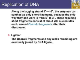 Replication of DNA
Along the lagging strand 3’—>5”, the enzymes can
synthesize only short fragments, because the only
way they can work is from 5’ to 3’. These resulting
short fragments consist of about 200 nucleotides
each, named Okazaki fragments after their
discoverer.
6. Ligation
The Okazaki fragments and any nicks remaining are
eventually joined by DNA ligase.
 
