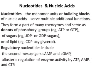 Nucleotides & Nucleic Acids
Nucleotides—the monomer units or building blocks
of nucleic acids—serve multiple additional functions.
They form a part of many coenzymes and serve as
donors of phosphoryl groups (eg, ATP or GTP),
of sugars (eg,UDP- or GDP-sugars),
or of lipid (eg, CDP-acylglycerol).
Regulatory nucleotides include
the second messengers cAMP and cGMP,
allosteric regulation of enzyme activity by ATP, AMP,
and CTP.
 