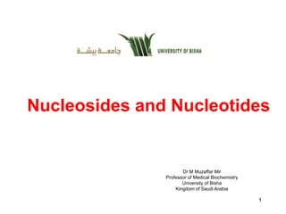 1
Nucleosides and Nucleotides
Dr M Muzaffar Mir
Professor of Medical Biochemistry
University of Bisha
Kingdom of Saudi Arabia
 