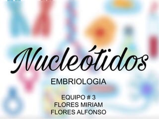 EMBRIOLOGIA
EQUIPO # 3
FLORES MIRIAM
FLORES ALFONSO
 