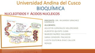 NUCLEOTIDOS Y ÁCIDOS NUCLEICOS
DOCENTE: DR. RICARDO SÁNCHEZ
GARRAFA
ALUMNOS:
AGUSTIN GONZALES SOLORZANO
ALBERTO QUISPE CUBA
MARIED NUÑEZ SALCEDO
SARA CONDORI PACHECO
LIZETH EUFEMIA DIAZ CALLER
RENZO
Universidad Andina del Cusco
BIOQUÍMICA
 