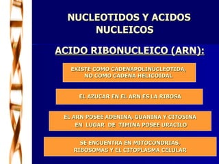   NUCLEOTIDOS Y ACIDOS  NUCLEICOS ACIDO RIBONUCLEICO (ARN): EXISTE COMO CADENAPOLINUCLEOTIDA,  NO COMO CADENA HELICOIDAL  SE ENCUENTRA EN MITOCONDRIAS, RIBOSOMAS Y EL CITOPLASMA CELULAR EL ARN POSEE ADENINA, GUANINA Y CITOSINA EN  LUGAR  DE  TIMINA POSEE URACILO EL AZUCAR EN EL ARN ES LA RIBOSA 