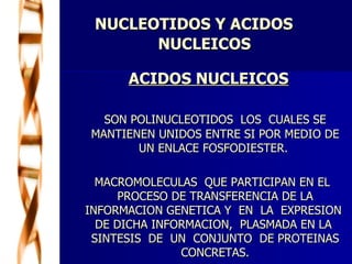 NUCLEOTIDOS Y ACIDOS  NUCLEICOS ACIDOS NUCLEICOS SON POLINUCLEOTIDOS  LOS  CUALES SE MANTIENEN UNIDOS ENTRE SI POR MEDIO DE UN ENLACE FOSFODIESTER.  MACROMOLECULAS  QUE PARTICIPAN EN EL PROCESO DE TRANSFERENCIA DE LA INFORMACION GENETICA Y  EN  LA  EXPRESION  DE DICHA INFORMACION,  PLASMADA EN LA  SINTESIS  DE  UN  CONJUNTO  DE PROTEINAS CONCRETAS. 