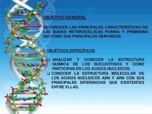 Nucleotidos Y Acidos Nucleicos