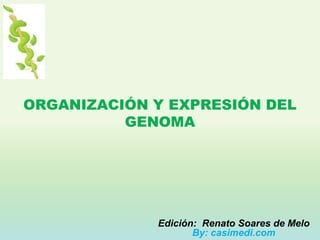 ORGANIZACIÓN Y EXPRESIÓN DEL
          GENOMA




             Edición: Renato Soares de Melo
                    By: casimedi.com
 