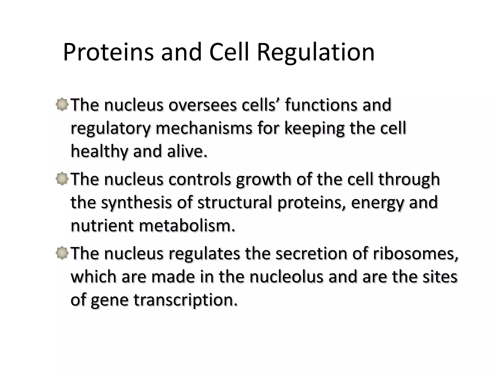 Proteins and Cell Regulation
The nucleus oversees cells’ functions and
regulatory mechanisms for keeping the cell
healthy and alive.
The nucleus controls growth of the cell through
the synthesis of structural proteins, energy and
nutrient metabolism.
The nucleus regulates the secretion of ribosomes,
which are made in the nucleolus and are the sites
of gene transcription.
 