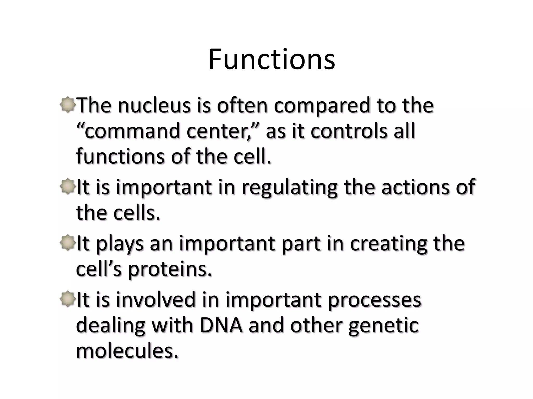 Functions
The nucleus is often compared to the
“command center,” as it controls all
functions of the cell.
It is important in regulating the actions of
the cells.
It plays an important part in creating the
cell’s proteins.
It is involved in important processes
dealing with DNA and other genetic
molecules.
 