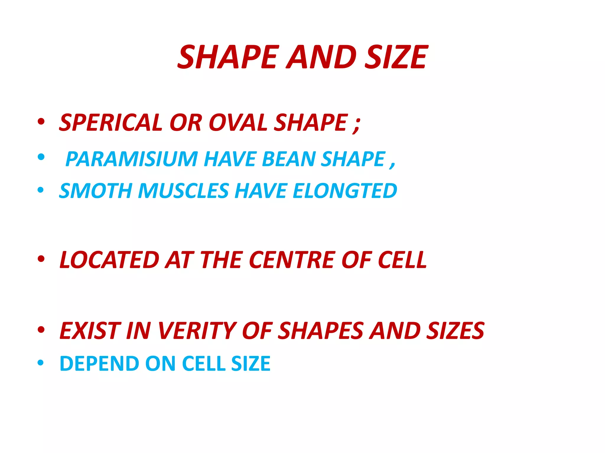 SHAPE AND SIZE
• SPERICAL OR OVAL SHAPE ;
• PARAMISIUM HAVE BEAN SHAPE ,
• SMOTH MUSCLES HAVE ELONGTED
• LOCATED AT THE CENTRE OF CELL
• EXIST IN VERITY OF SHAPES AND SIZES
• DEPEND ON CELL SIZE
 