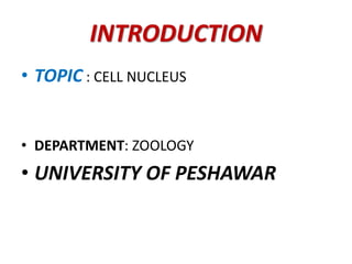 INTRODUCTION
• TOPIC : CELL NUCLEUS
• DEPARTMENT: ZOOLOGY
• UNIVERSITY OF PESHAWAR
 