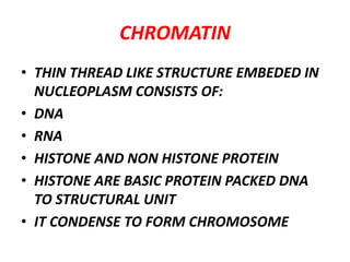 CHROMATIN
• THIN THREAD LIKE STRUCTURE EMBEDED IN
NUCLEOPLASM CONSISTS OF:
• DNA
• RNA
• HISTONE AND NON HISTONE PROTEIN
• HISTONE ARE BASIC PROTEIN PACKED DNA
TO STRUCTURAL UNIT
• IT CONDENSE TO FORM CHROMOSOME
 
