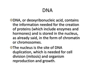 DNA
DNA, or deoxyribonucleic acid, contains
the information needed for the creation
of proteins (which include enzymes and
hormones) and is stored in the nucleus,
as already said, in the form of chromatin
or chromosomes.
The nucleus is the site of DNA
duplication, which is needed for cell
division (mitosis) and organism
reproduction and growth.
 