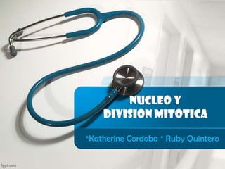 Nucleo y
Division Mitotica
*Katherine Cordoba * Ruby Quintero
 