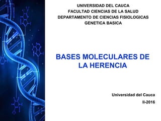 UNIVERSIDAD DEL CAUCA
FACULTAD CIENCIAS DE LA SALUD
DEPARTAMENTO DE CIENCIAS FISIOLOGICAS
GENETICA BASICA
BASES MOLECULARES DE
LA HERENCIA
Universidad del Cauca
II-2016
 