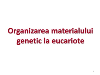 Organizarea materialului
genetic la eucariote
1
 