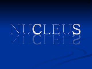 NUCLEUS NUCLEUS 