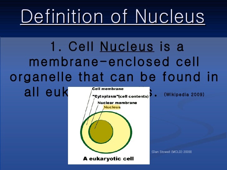 Nucleus Ppt