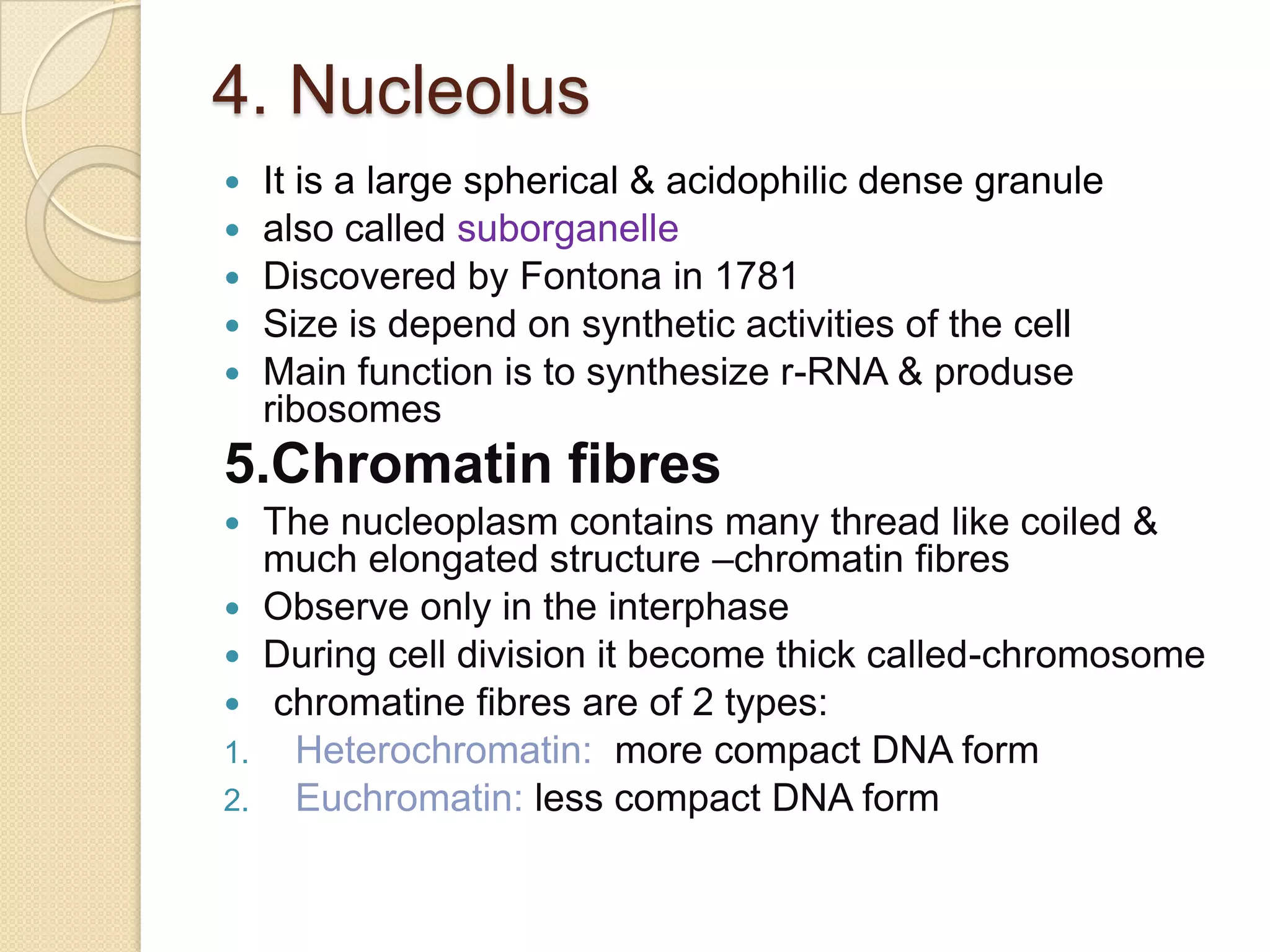 The outer membrane is continuous with the membrane of golgi body, mitochondria, ER, also studded with ribosomesNuclear pores:nuclear membrane is not continuous but broken at regular intervals,these broken areas are known as nuclear pores.They are various in no. & depends on species & type of the cell,e.g. in mammalian cell-3000 to 4000 poresShape is octagonal due to the prensence of 8 granules arrenged symmetricallyPore’s diameter is 600Å but molecules which are freely diffuse through gap are only about 9nm wide, due to the presence of regulatory system within the center of the poreThe pores are enclosed      by a circular structure –annuli, pores & annuli are     collectively called pore complex sometime pore complex      remains covered by a thin      membrane (septum) ,     which act as selectivepermiability.    