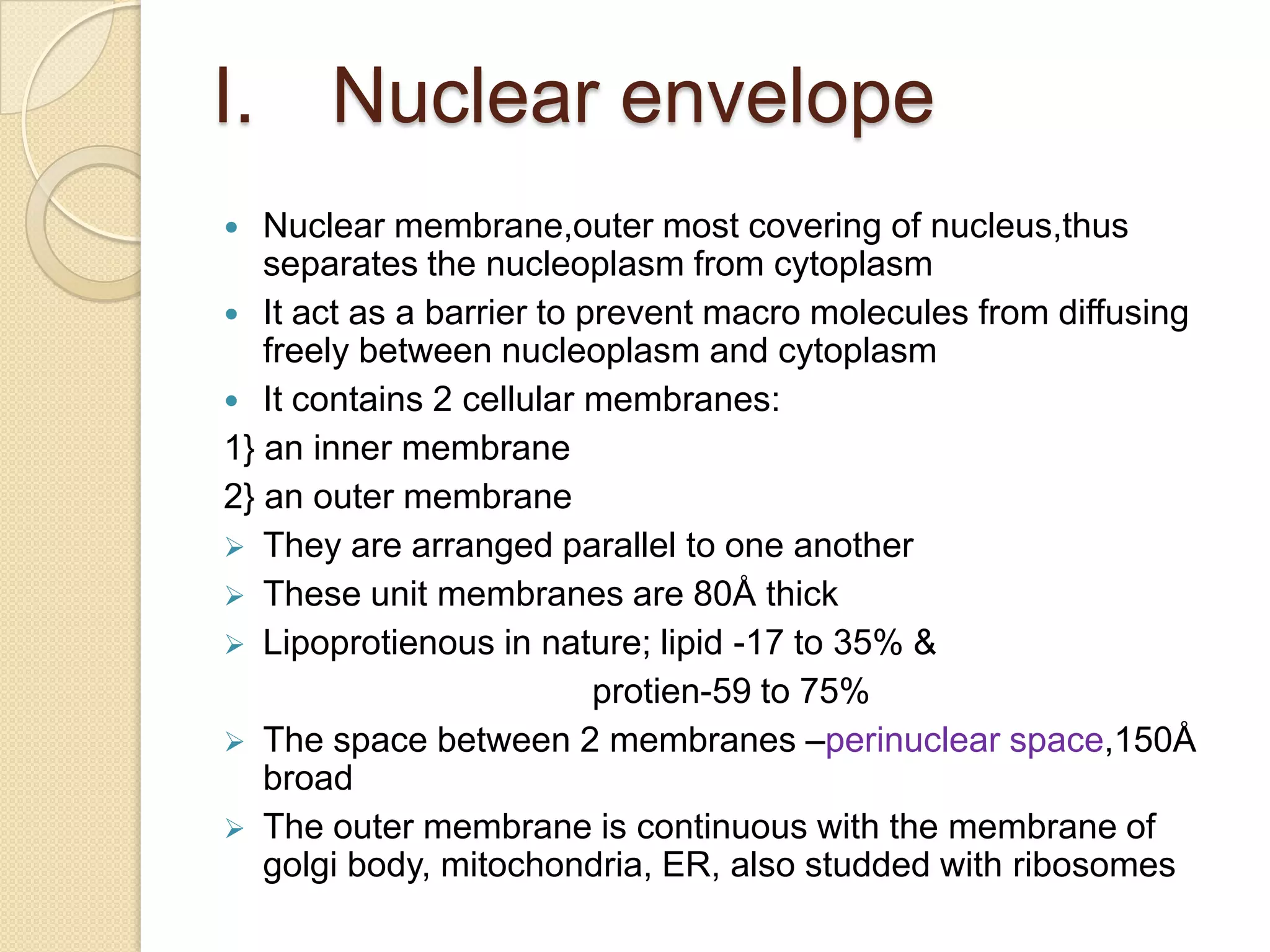 Nuclear envelopeNuclear membrane,outer most covering of nucleus,thus separates the nucleoplasm from cytoplasmIt act as a barrier to prevent macro molecules from diffusing freely between nucleoplasm and cytoplasmIt contains 2 cellular membranes:1} an inner membrane2} an outer membraneThey are arranged parallel to one another