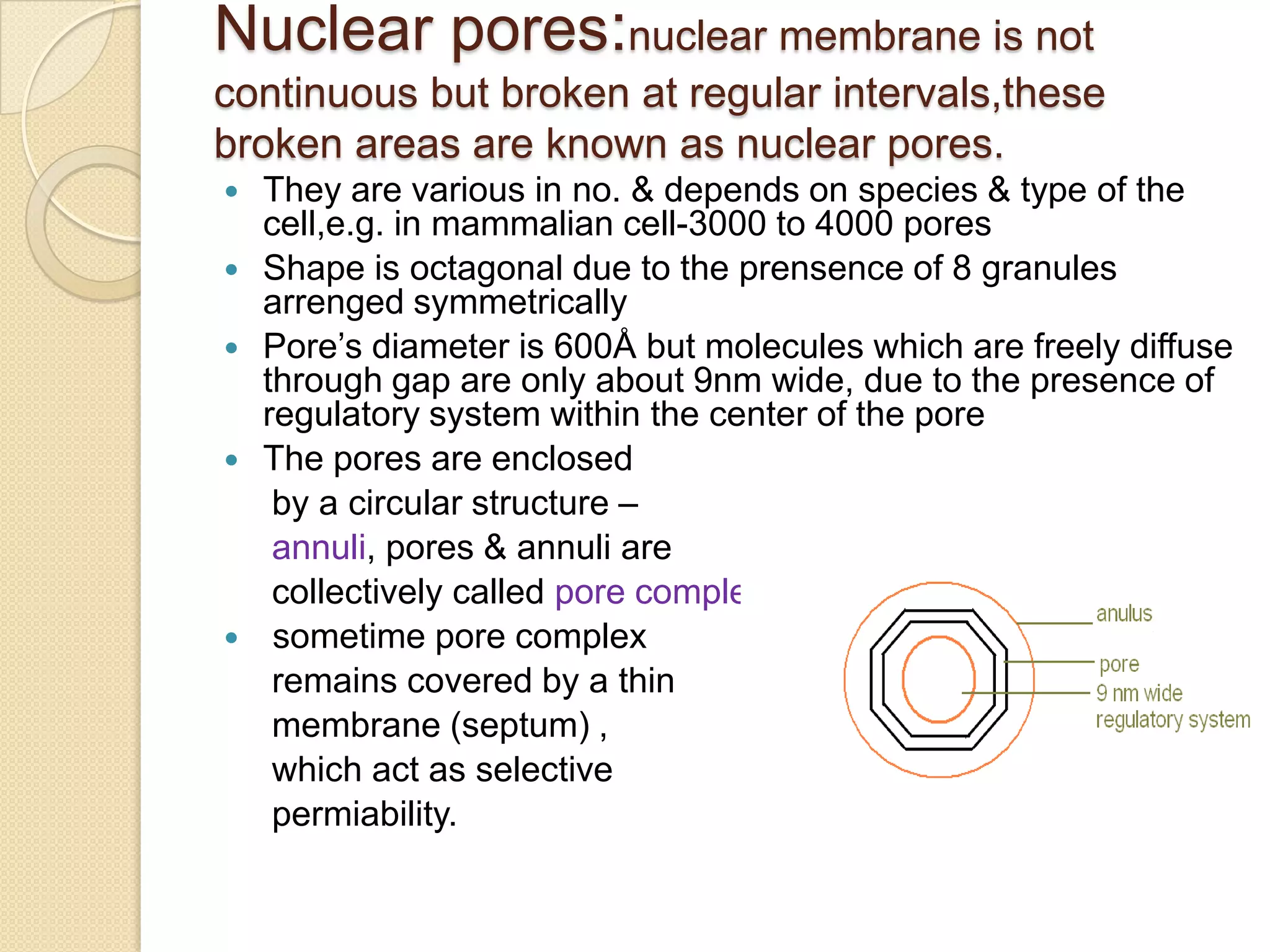 These unit membranes are 80Å thick 