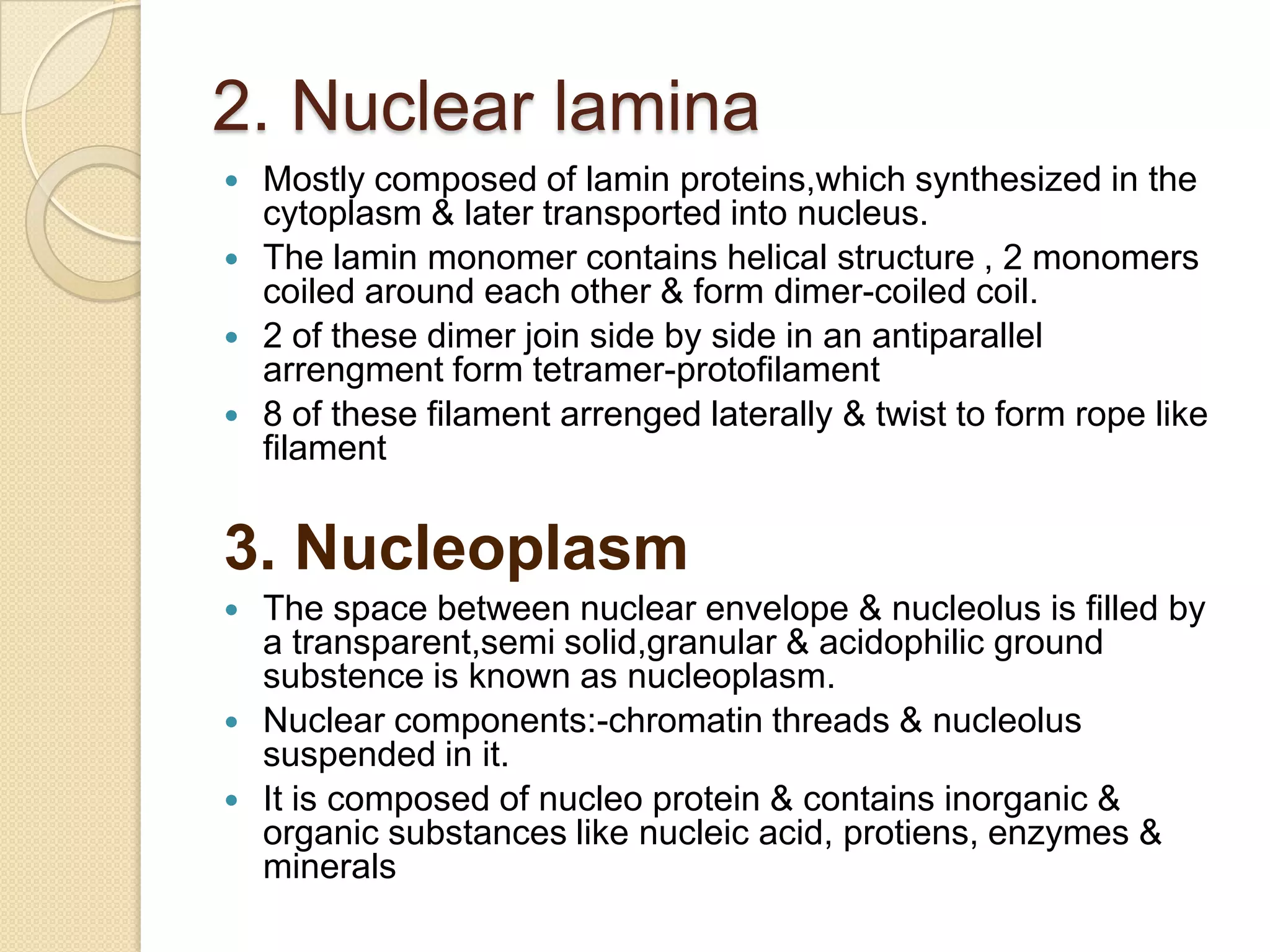 Lipoprotienous in nature; lipid -17 to 35% &                                      protien-59 to 75%The space between 2 membranes –perinuclear space,150Å broad 