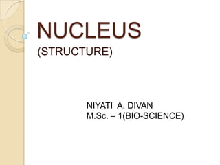 NUCLEUS (STRUCTURE) NIYATI  A. DIVAN M.Sc. – 1(BIO-SCIENCE) 