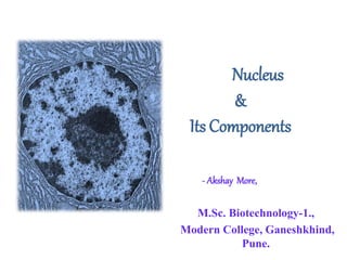 Nucleus
&
Its Components
- Akshay More,
M.Sc. Biotechnology-1.,
Modern College, Ganeshkhind,
Pune.
 