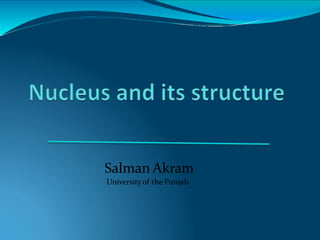 Salman Akram
Universityof the Punjab
 