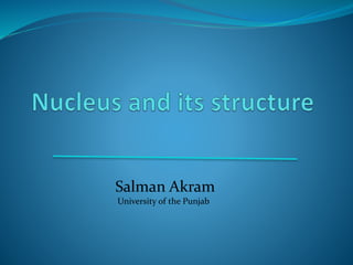 Salman Akram
University of the Punjab
 