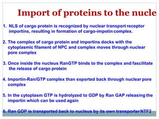nucleus | PPTX