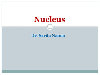 Nucleus
Dr. Sarita Nanda
 