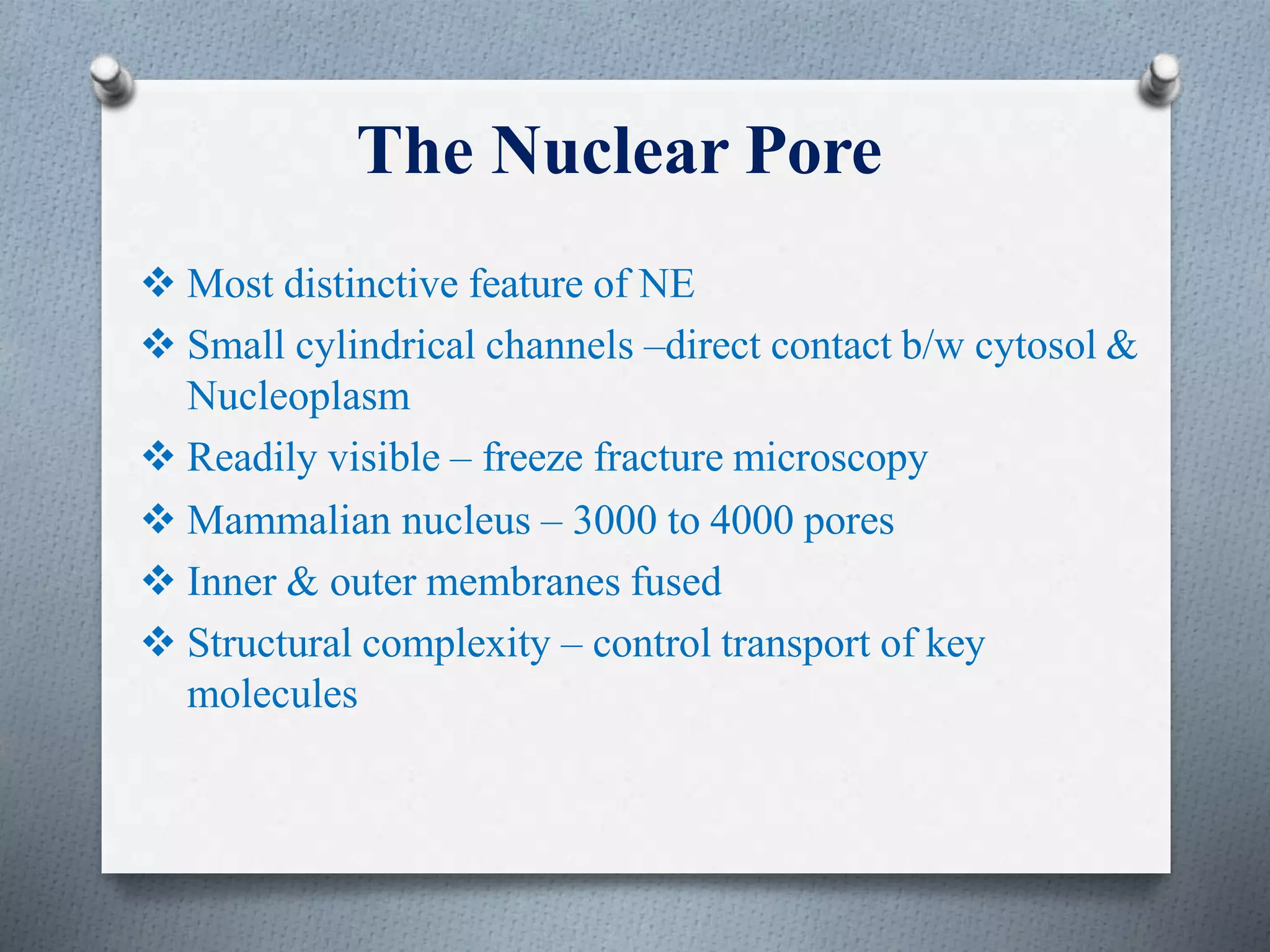 The Nuclear Pore
 Most distinctive feature of NE
 Small cylindrical channels –direct contact b/w cytosol &
Nucleoplasm
 Readily visible – freeze fracture microscopy
 Mammalian nucleus – 3000 to 4000 pores
 Inner & outer membranes fused
 Structural complexity – control transport of key
molecules
 