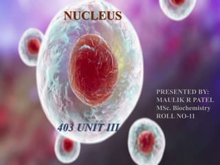 NUCLEUS
PRESENTED BY:
MAULIK R PATEL
MSc. Biochemistry
ROLL NO-11
403 UNIT III
 