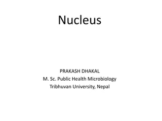 Nucleus
PRAKASH DHAKAL
M. Sc. Public Health Microbiology
Tribhuvan University, Nepal
 