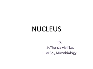 NUCLEUS
By,
K.ThangaMallika,
I M.Sc., Microbiology
 