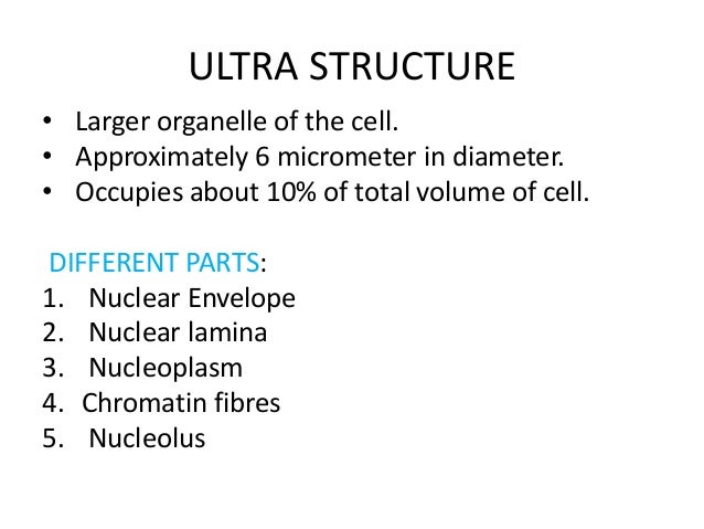 Nucleus