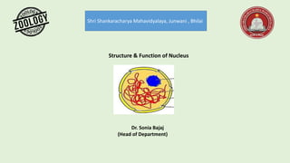 Shri Shankaracharya Mahavidyalaya, Junwani , Bhilai
Structure & Function of Nucleus
Dr. Sonia Bajaj
(Head of Department)
 