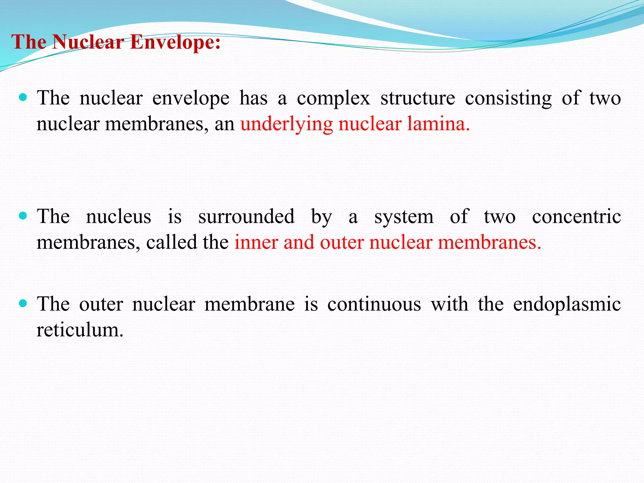 The Nuclear Envelope:
 The nuclear envelope has a complex structure consisting of two
nuclear membranes, an underlying nuclear lamina.
 The nucleus is surrounded by a system of two concentric
membranes, called the inner and outer nuclear membranes.
 The outer nuclear membrane is continuous with the endoplasmic
reticulum.
 