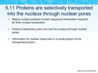 5.11 Proteins are selectively transported
into the nucleus through nuclear pores
• Mature nuclear proteins contain sequence information required
for their nuclear localization.
• Proteins selectively enter and exit the nucleus through nuclear
pores.
• Information for nuclear import lies in a small portion of the
transported protein.
 