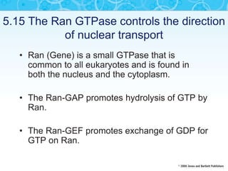 5.15 The Ran GTPase controls the direction
of nuclear transport
• Ran (Gene) is a small GTPase that is
common to all eukaryotes and is found in
both the nucleus and the cytoplasm.
• The Ran-GAP promotes hydrolysis of GTP by
Ran.
• The Ran-GEF promotes exchange of GDP for
GTP on Ran.
 