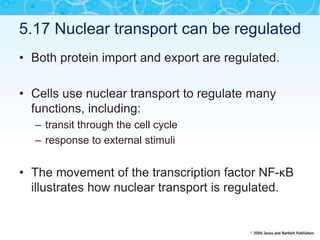 5.17 Nuclear transport can be regulated
• Both protein import and export are regulated.
• Cells use nuclear transport to regulate many
functions, including:
– transit through the cell cycle
– response to external stimuli
• The movement of the transcription factor NF-κB
illustrates how nuclear transport is regulated.
 