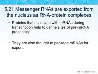 5.21 Messenger RNAs are exported from
the nucleus as RNA-protein complexes
• Proteins that associate with mRNAs during
transcription help to define sites of pre-mRNA
processing.
• They are also thought to package mRNAs for
export.
 