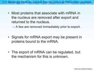 • Most proteins that associate with mRNA in
the nucleus are removed after export and
returned to the nucleus.
– A few are removed immediately prior to export.
• Signals for mRNA export may be present in
proteins bound to the mRNA.
• The export of mRNA can be regulated, but
the mechanism for this is unknown.
5.21 Messenger RNAs are exported from the nucleus as RNA-protein complexes
 