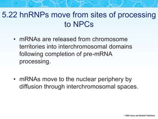 5.22 hnRNPs move from sites of processing
to NPCs
• mRNAs are released from chromosome
territories into interchromosomal domains
following completion of pre-mRNA
processing.
• mRNAs move to the nuclear periphery by
diffusion through interchromosomal spaces.
 