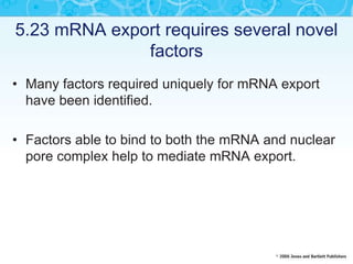 5.23 mRNA export requires several novel
factors
• Many factors required uniquely for mRNA export
have been identified.
• Factors able to bind to both the mRNA and nuclear
pore complex help to mediate mRNA export.
 