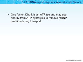 • One factor, Dbp5, is an ATPase and may use
energy from ATP hydrolysis to remove mRNP
proteins during transport.
5.23 mRNA export requires several novel factors
 