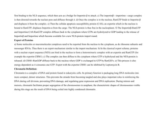 first binding to the NLS sequence, which then acts as a bridge for Importin-β to attach. c) The importinβ—importinα—cargo complex
is then directed towards the nuclear pore and diffuses through it. d) Once the complex is in the nucleus, RanGTP binds to Importin-β
and displaces it from the complex. e) Then the cellular apoptosis susceptibility protein (CAS), an exportin which in the nucleus is
bound to RanGTP, displaces Importin-α from the cargo. The NLS-protein is thus free in the nucleoplasm. f) The Importinβ-RanGTP
and Importinα-CAS-RanGTP complex diffuses back to the cytoplasm where GTPs are hydrolyzed to GDP leading to the release of
Importinβ and Importinα which become available for a new NLS-protein import round.
Export of Proteins
a) Some molecules or macromolecular complexes need to be exported from the nucleus to the cytoplasm, as do ribosome subunits and
messenger RNAs. Thus there is an export mechanism similar to the import mechanism. b) In the classical export scheme, proteins
with a nuclear export sequence (NES) can bind in the nucleus to form a heterotrimeric complex with an exportin and RanGTP (for
example the exportin CRM1). c) The complex can then diffuse to the cytoplasm where GTP is hydrolysed and the NES-protein is
released. d) CRM1-RanGDP diffuses back to the nucleus where GDP is exchanged to GTP by RanGEFs. e) This process is also
energy dependent as it consumes one GTP. Export with the exportin CRM1 can be inhibited by Leptomycin B.
Chromatin Definition:
Chromatin is a complex of DNA and protein found in eukaryotic cells. Its primary function is packaging long DNA molecules into
more compact, denser structures. This prevents the strands from becoming tangled and also plays important roles in reinforcing the
DNA during cell division, preventing DNA damage, and regulating gene expression and DNA replication. During mitosis and
meiosis, chromatin facilitates proper segregation of the chromosomes in anaphase; the characteristic shapes of chromosomes visible
during this stage are the result of DNA being coiled into highly condensed chromatin.
 