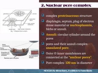 nucleus.pptx cell and cell biology,.... | PPTX
