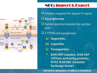 Karyopherins Function nucleus.pptx cell and cell biology,.... | PPTX