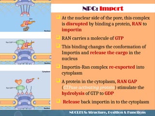 nucleus.pptx cell and cell biology,.... | PPTX