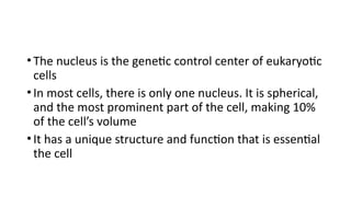 Comprehensive Overview of the Eukaryotic Cell Nucleus Structure and ...